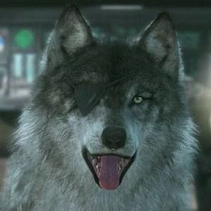 Meet your Posher, Gu